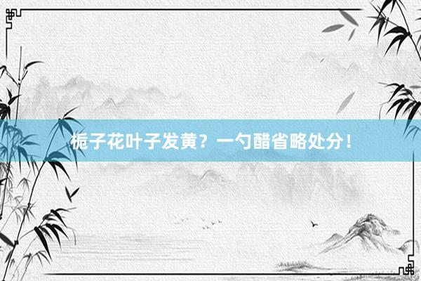 栀子花叶子发黄？一勺醋省略处分！