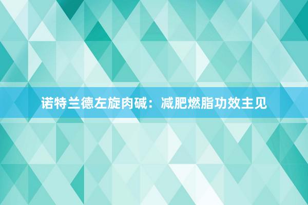 诺特兰德左旋肉碱：减肥燃脂功效主见