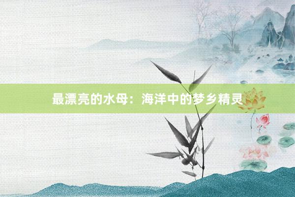 最漂亮的水母：海洋中的梦乡精灵